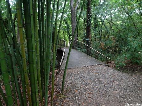 Séjour en Ariège - Le Parc aux Bambous à Lapenne Séjour en Ariège - Le Parc aux Bambous à Lapenne