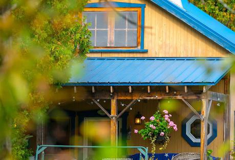 Elle se cache… #CapAuxOies Elle se cache… #CapAuxOies