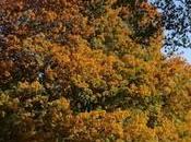 Paris, commence Montsouris