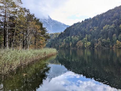 Fotoreportage Schwansee — 29 Fotos — Lac du Cygne / Reportage photographique