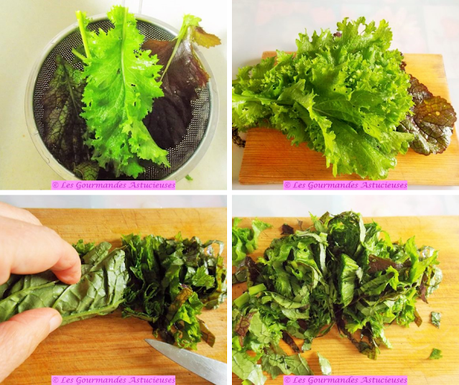 J'ai enfin pu manger les poivrons de mon jardin (Vegan) J'ai enfin pu manger les poivrons de mon jardin (Vegan)