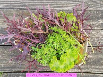 J'ai enfin pu manger les poivrons de mon jardin (Vegan) J'ai enfin pu manger les poivrons de mon jardin (Vegan)