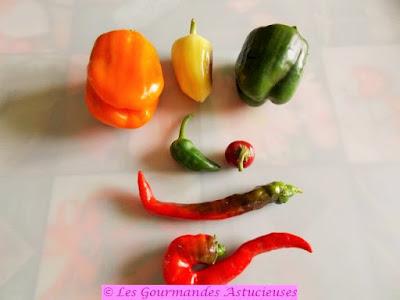 J'ai enfin pu manger les poivrons de mon jardin (Vegan) J'ai enfin pu manger les poivrons de mon jardin (Vegan)