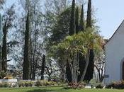 L’œuvre Schoenstatt fait place importante Marie