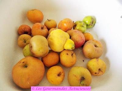 Comment faire du jus de pommes pasteurisé ? Comment faire du jus de pommes pasteurisé ?