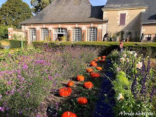 Les jardins, les plans d'eau et le parc de Cheverny