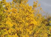 Projet 52-2021 Monochrome