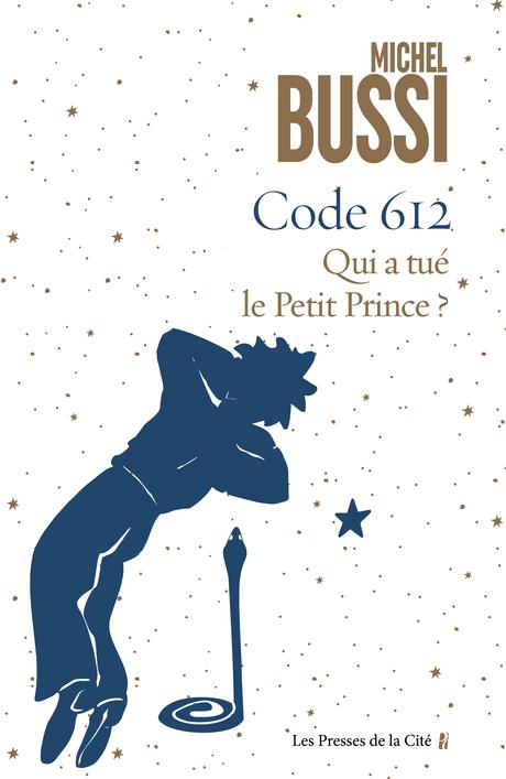 Michel Bussi – Code 612. Qui a tué le Petit Prince?