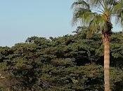 Relâche blog Actualités Scientifiques-Médicales octobre 2021 inclus