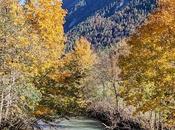 Mittenwald Isar, Leutascher Ache, Leutasch Fotos