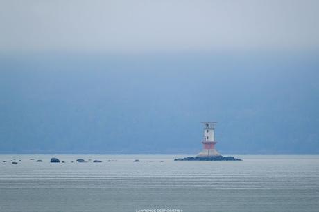 🎶 🎵… 🎶 🎵…