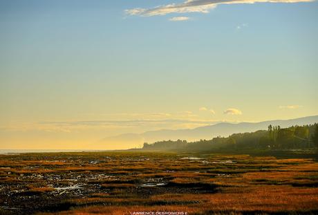 Après la pluie… #Isle-aux-Coudres