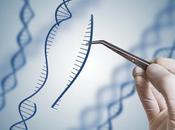 GLIOBLASTOME Découverte d’un gène régulateur