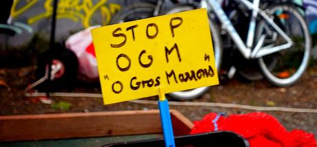 pour une poignée de châtaignes pour une poignée de châtaignes