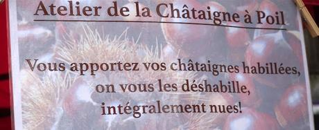 pour une poignée de châtaignes pour une poignée de châtaignes