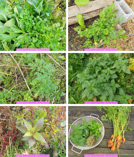 Terrine Vegan aux pois cassés, aux carottes et aux orties Terrine Vegan aux pois cassés, aux carottes et aux orties