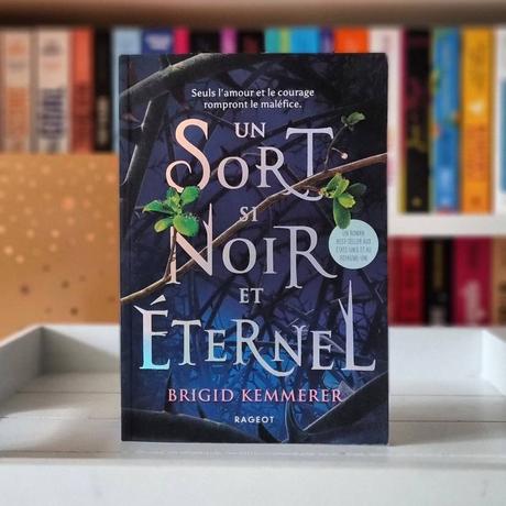 Un sort si noir et éternel | Brigid Kemmerer (The Cursebreakers #1)