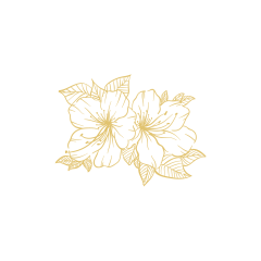 Se situer grâce à la numérologie