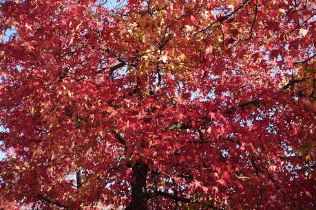 par le trou de la serrure