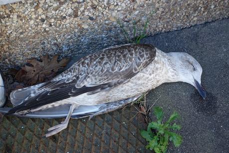 par le trou de la serrure