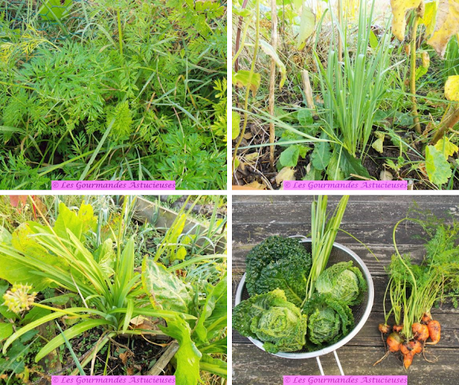 Chou braisé en sucré-salé (Vegan) Chou braisé en sucré-salé (Vegan)