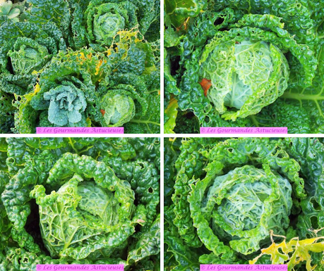 Chou braisé en sucré-salé (Vegan) Chou braisé en sucré-salé (Vegan)