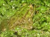 Sort sort sortilège