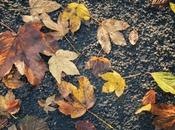 quatrième poème Toussaint jour Défunts (extrait)