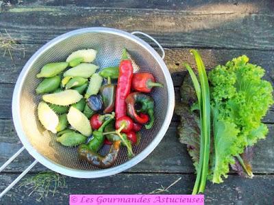 Pois chiches épicés aux poivrons et riz rouge aux cyclanthères (Vegan) Pois chiches épicés aux poivrons et riz rouge aux cyclanthères (Vegan)