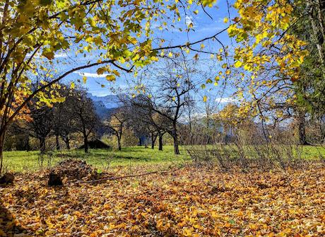Hermann Levi's Grabstätte in Partenkirchen — 33 Fotos für eine Herbstsymphonie — Symphonie automnale pour la tombe de Hermann Levi