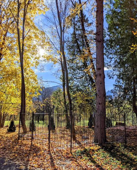 Hermann Levi's Grabstätte in Partenkirchen — 33 Fotos für eine Herbstsymphonie — Symphonie automnale pour la tombe de Hermann Levi