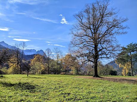 Hermann Levi's Grabstätte in Partenkirchen — 33 Fotos für eine Herbstsymphonie — Symphonie automnale pour la tombe de Hermann Levi