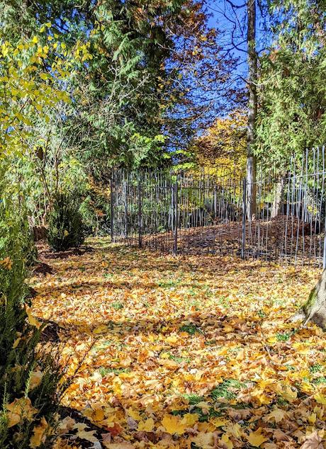 Hermann Levi's Grabstätte in Partenkirchen — 33 Fotos für eine Herbstsymphonie — Symphonie automnale pour la tombe de Hermann Levi