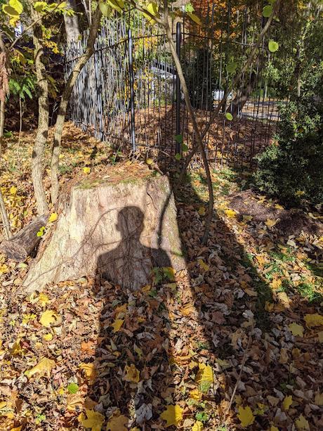 Hermann Levi's Grabstätte in Partenkirchen — 33 Fotos für eine Herbstsymphonie — Symphonie automnale pour la tombe de Hermann Levi