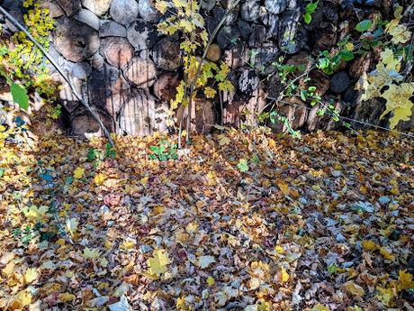 Hermann Levi's Grabstätte in Partenkirchen — 33 Fotos für eine Herbstsymphonie — Symphonie automnale pour la tombe de Hermann Levi