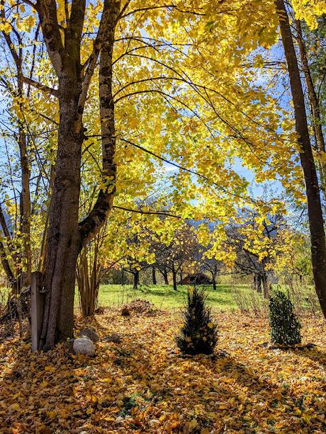 Hermann Levi's Grabstätte in Partenkirchen — 33 Fotos für eine Herbstsymphonie — Symphonie automnale pour la tombe de Hermann Levi