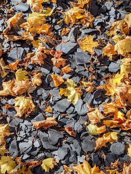 Hermann Levi's Grabstätte in Partenkirchen — 33 Fotos für eine Herbstsymphonie — Symphonie automnale pour la tombe de Hermann Levi