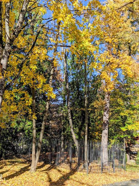 Hermann Levi's Grabstätte in Partenkirchen — 33 Fotos für eine Herbstsymphonie — Symphonie automnale pour la tombe de Hermann Levi