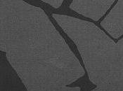 Estampillés Essai néo-racisme Gauche XXIe siècle, Drieu Godefridi