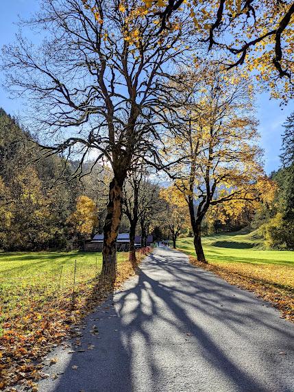 Le Jour des Morts, un poème du marquis Louis Jean-Pierre de Fontanes (1759-1821) Le Jour des Morts, un poème du marquis Louis Jean-Pierre de Fontanes (1759-1821)