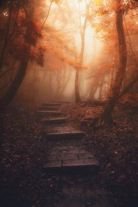 La méditation de toujours et de partout La méditation de toujours et de partout