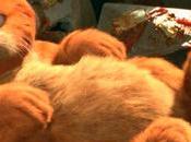 Chris Pratt incarnera Garfield pour prochain film d’animation