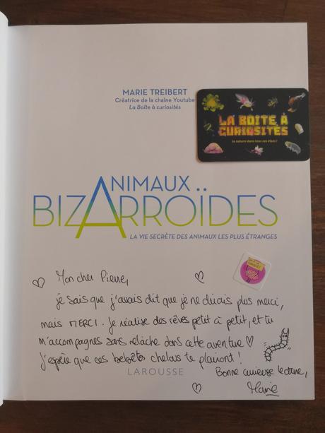 Animaux Bizarroïdes Animaux Bizarroïdes