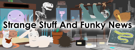 Strange Stuff and Funky Newsletter Strange Stuff and Funky Newsletter