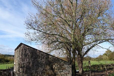 quand la musique est passée
