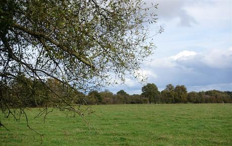 quand la musique est passée