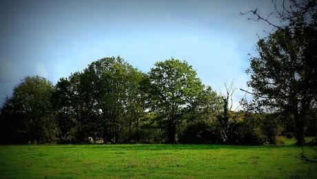 quand la musique est passée