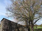 quand musique passée