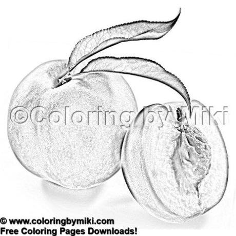 Adult coloring pages download printable #coloring #coloringpages #coloringbooks #coloringsheets #coloringforadults #colorinspiration #colorear #coloriage #drawings #dibujosparapintar #dibujos #colouring #colorir #adultcoloring #adultcoloringpages #adultcoloringbooks  Can you color like this? ↓アート, アートセラピー, イラスト, オンライン, カラーセラピー, キッチン, コロリアージュ, スケッチ, ストレス解消, ダイニング, ダウンロード, ぬりえ, ぬりえプリント, フリー, フルーツ, ベジタブル, リハビリ, リラックス, 上級, 中級, 初心者, 塗り絵, 大人, 大人のぬりえ, 大人の塗り絵, 大人の習い事, 果物, 無料, 画像, 白黒, 禅, 簡単, 精神統一, 線画, 落書