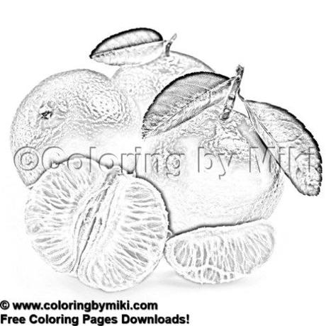 Adult coloring pages download printable #coloring #coloringpages #coloringbooks #coloringsheets #coloringforadults #colorinspiration #colorear #coloriage #drawings #dibujosparapintar #dibujos #colouring #colorir #adultcoloring #adultcoloringpages #adultcoloringbooks  Can you color like this? ↓アート, アートセラピー, イラスト, オンライン, カラーセラピー, キッチン, コロリアージュ, スケッチ, ストレス解消, ダイニング, ダウンロード, ぬりえ, ぬりえプリント, フリー, フルーツ, ベジタブル, リハビリ, リラックス, 上級, 中級, 初心者, 塗り絵, 大人, 大人のぬりえ, 大人の塗り絵, 大人の習い事, 果物, 無料, 画像, 白黒, 禅, 簡単, 精神統一, 線画, 落書